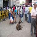 Sri Chamundeshwari Temple (bangalore_100_1680.jpg) South India, Indische Halbinsel, Asien